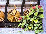 -FOTO, detalle-