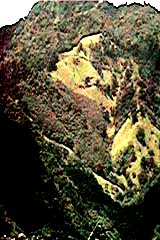 -PHOTO OF FIGURE WITH ACCENTED CONTRAST-