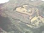 -PHOTO OF FIGURE WITH ACCENT LINES-