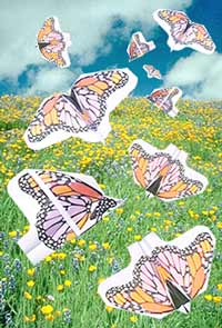 Monarch Butterfly paper airplanes