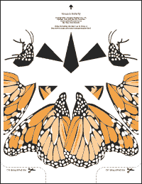 Monarch Butterfly PDF sheet.