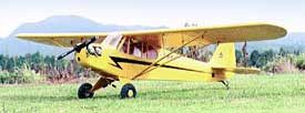 Photograph of a Piper Cub J-3