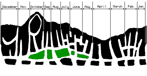 -DRAWING OF STONE (RECTANGULAR COORDINATES) SHOWING CLOUD COVER-